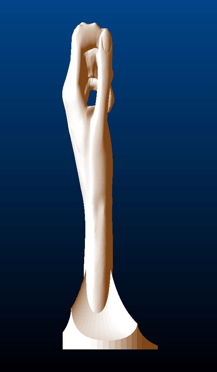 Peace (Left) Hand Sculpture, right