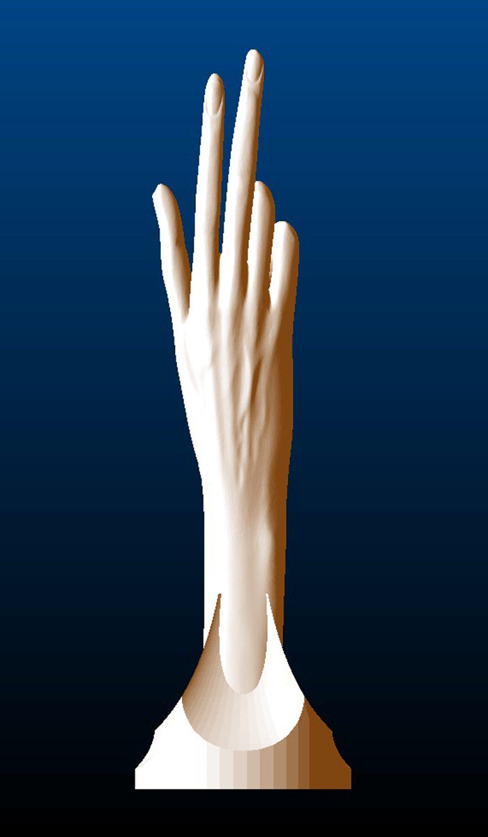 Peace (Right) Hand Sculpture, back
