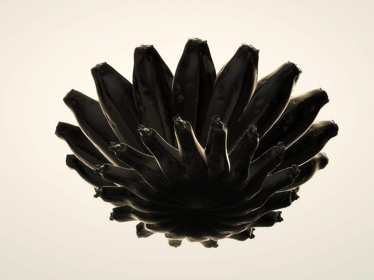 Banana Bowl, black