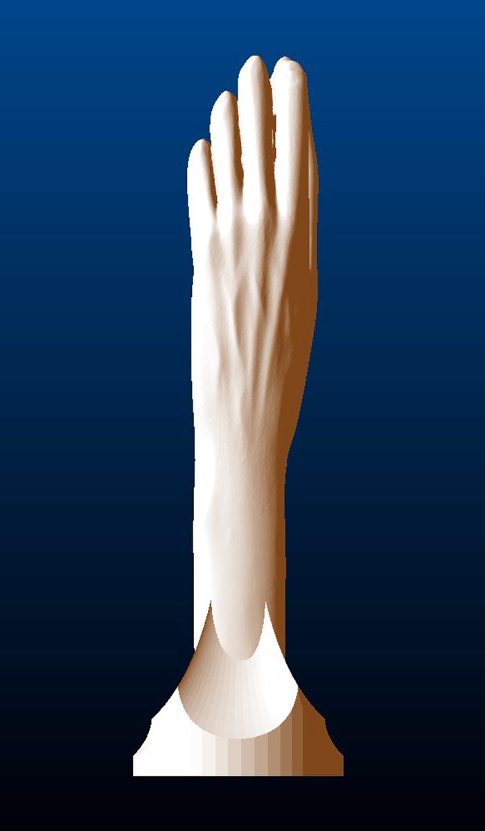 Peace (Left) Hand Sculpture, back